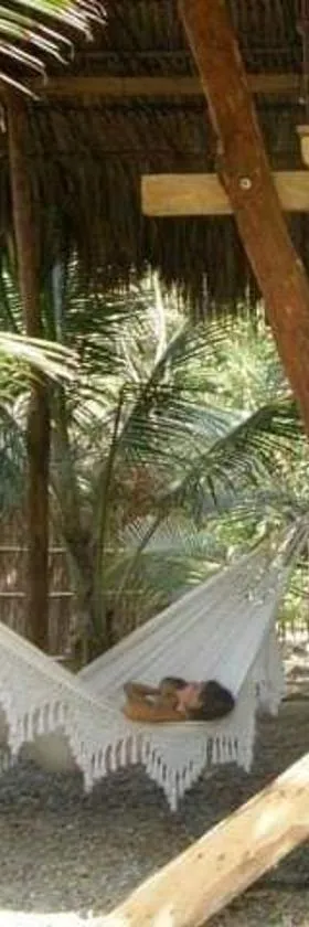 Pajarito Eco-Lodge frente al mar，位于Cedro的酒店