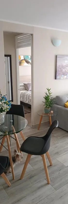 Departamento Ovalle 305 Quipu，位于奥瓦列的酒店