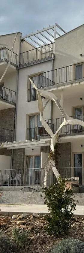 PRZNO MOSTOLIVA APARTMENT，位于Vrijesno的酒店