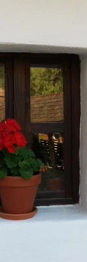Zempléni Pitvaros Pihenő，位于泰尔基巴尼奥的酒店