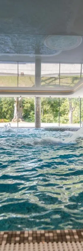 Hanza Pałac Wellness & SPA，位于Warlubie的酒店