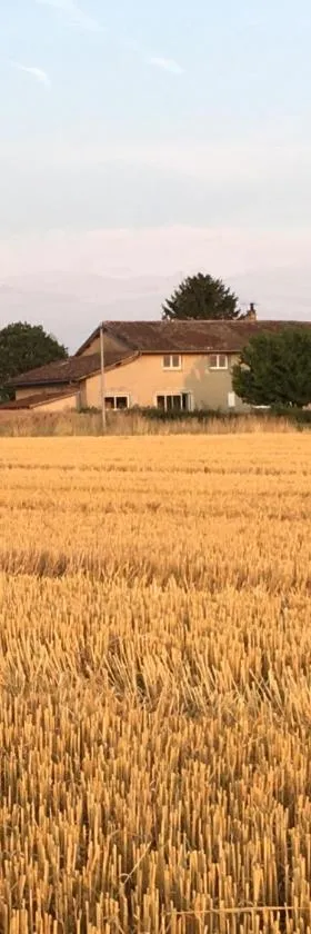 Le clos du chêne - Chambres dans maison Bressane à Saint Trivier sur Moignans，位于Baneins的酒店