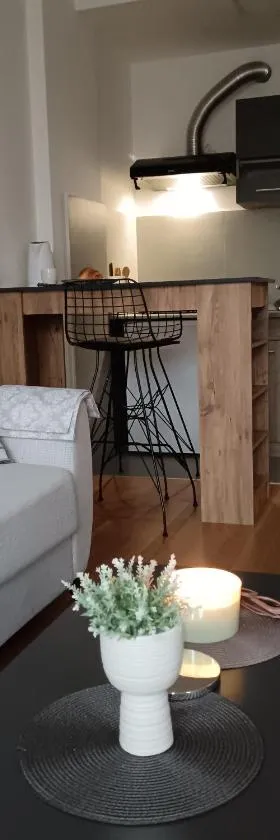 Zemun residence，位于Novi Grad的酒店