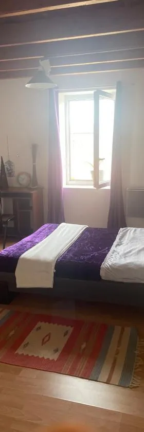 chambre violette coté aéroport calme charmante，位于Pusignan的酒店