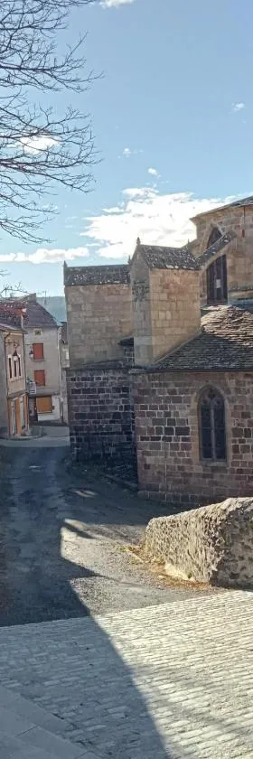Le Repose Pieds - Gîte d'étape randonnées -，位于Le Monastier sur Gazeille的酒店