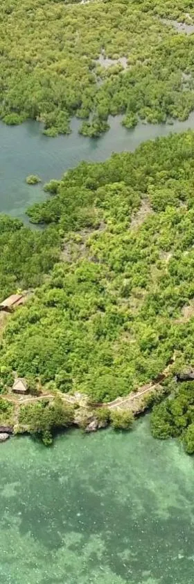 Eskapo Verde Lodge Moalboal，位于巴迪安的酒店