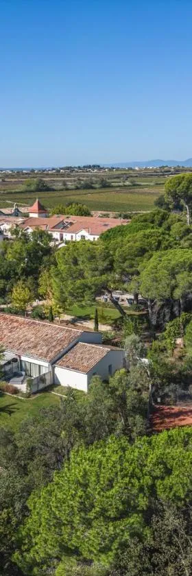 Château St Pierre de Serjac，位于Puissalicon的酒店
