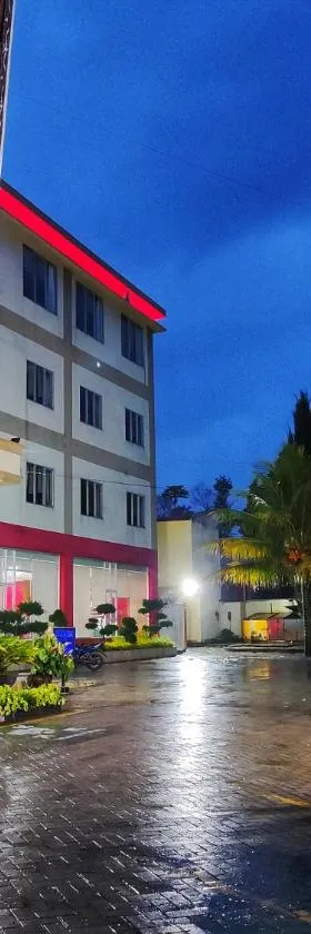 JTS Hotel，位于Sinabono的酒店