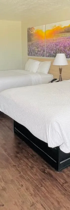 Days Inn & Suites by Wyndham - Canton First Monday Trade Days，位于坎顿的酒店