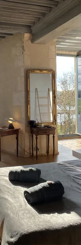 Chambre au Château de Meauce, Marguerite de Meauce，位于Saincaize-Meauce的酒店