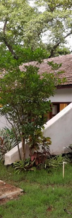 Banyan House - luxurious 4 bedroom villa on one acre, near the beach，位于纳加奥恩的酒店