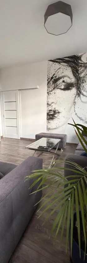 BoleslaviaApartments - Apartament Starówka 1，位于博莱斯瓦维茨的酒店