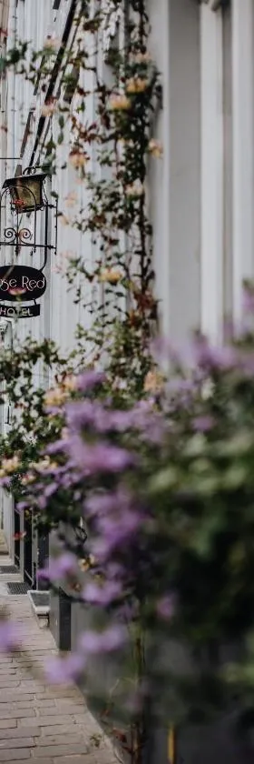 Hotel Rose Red，位于布鲁日的酒店
