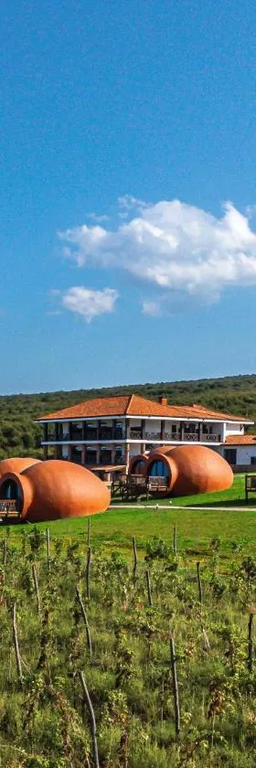 Hotel Qvevrebi，位于泰拉维的酒店