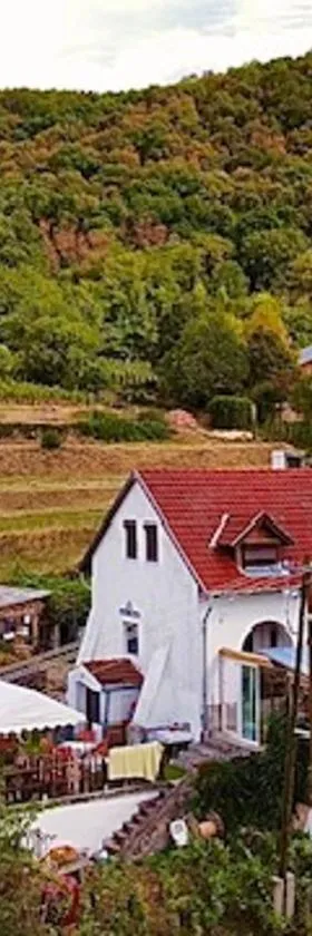 Inhauser Pincészet&Guesthouse&Restaurant，位于Somlószőlős的酒店