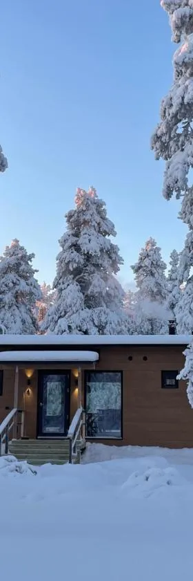 WALD Villas - Aavasaksa, Lapland，位于Aavasaksa的酒店