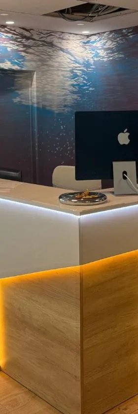 Residencia Mediterraneo，位于圣维森特德尔拉斯佩奇的酒店