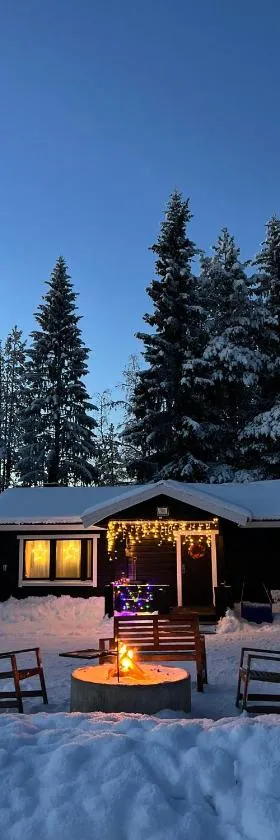Gemuetliches Blockhaus im Wald，位于Auktsjaur的酒店