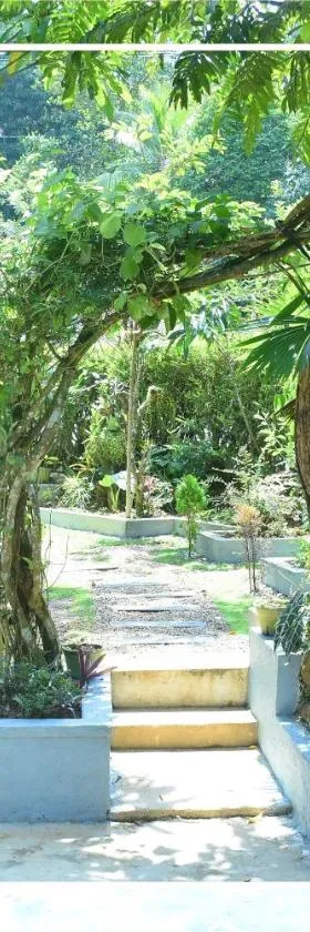 Greenline Homestay，位于Demodera的酒店