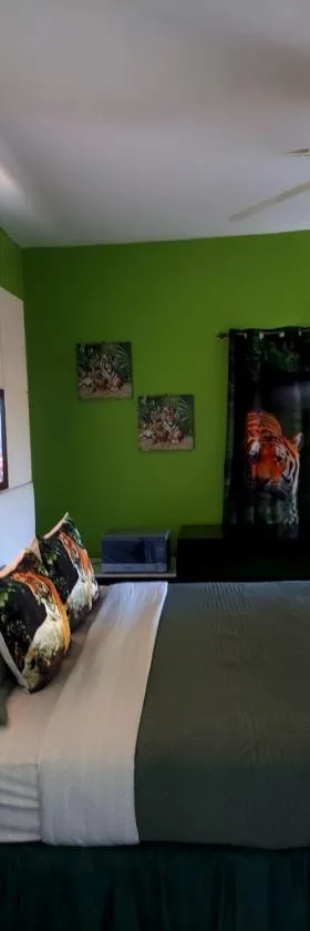Cas Bed and Breakfast，位于Corral Spring的酒店
