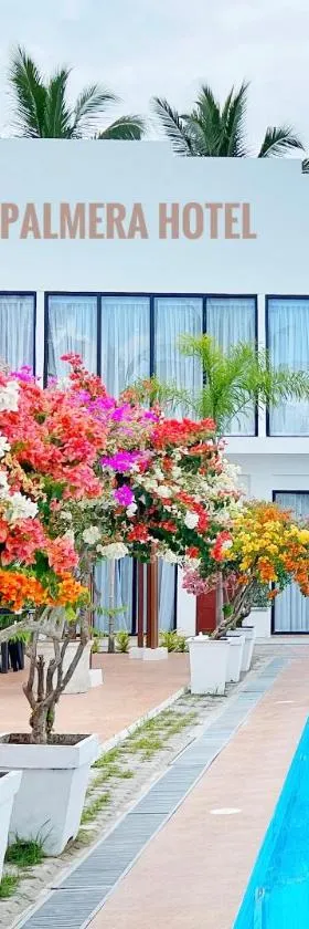 Grand Palmera Hotel，位于桑托斯将军城的酒店