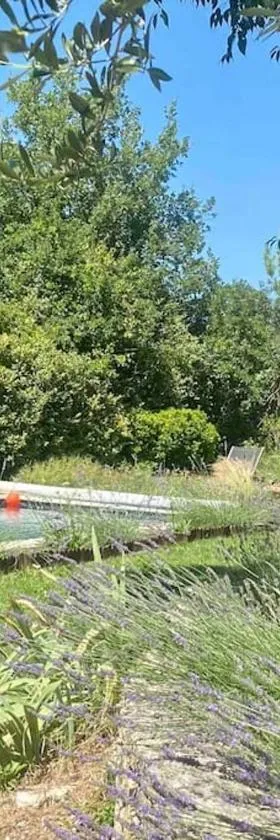 Charmante dépendance avec piscine en Provence，位于勒皮伊圣雷帕拉德的酒店