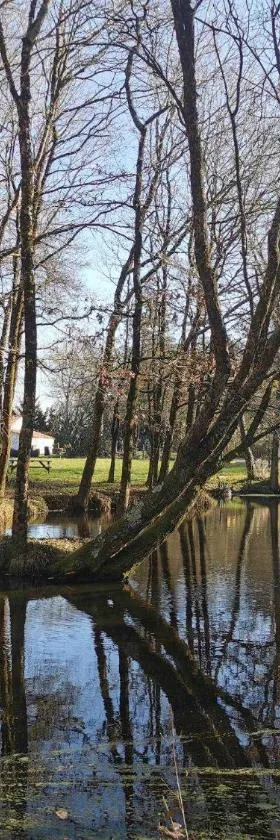 Charmante maisonnée à la campagne，位于La Garnache的酒店