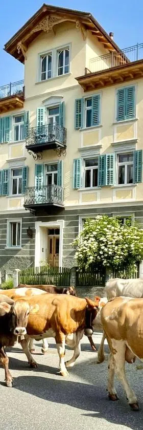 B&B La Scala，位于Trin的酒店