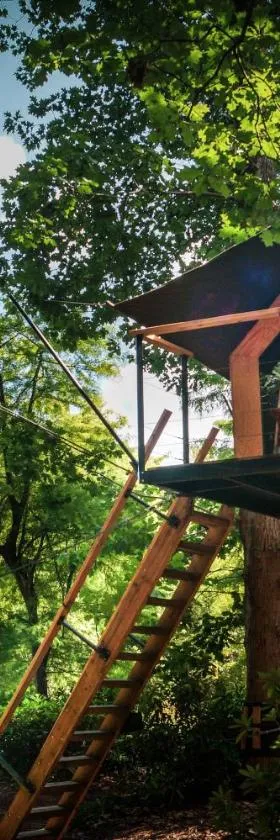 Boomkamp treehouses，位于奥斯特坎普的酒店