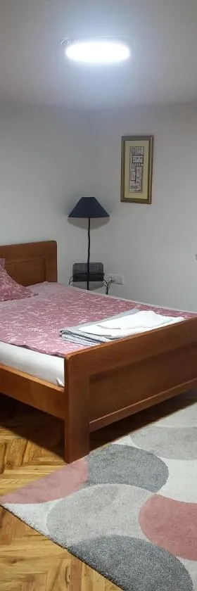 Stan na dan Kamenički park，位于Sremska Kamenica的酒店