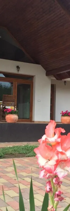 Kiscsere Vendégház，位于Kállósemjén的酒店
