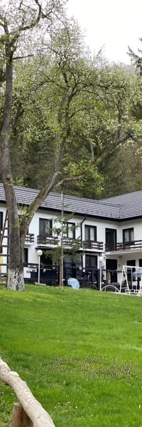 Starite Borove，位于Sinagovtsi的酒店
