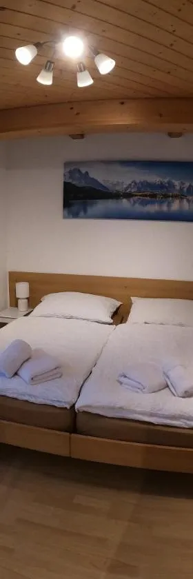 Fine&Pine Center Apartment，位于Matten的酒店