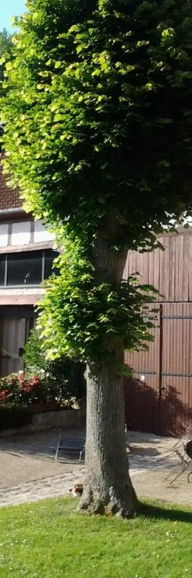 La Ferme du Vintué，位于Étréchy的酒店
