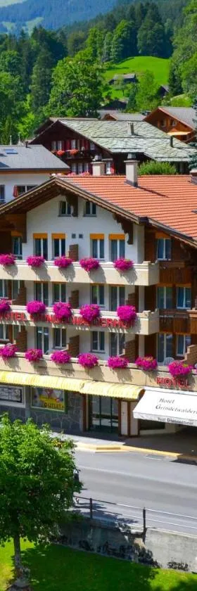 Hotel Grindelwalderhof，位于格林德尔瓦尔德的酒店