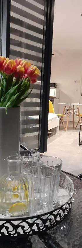Viva Apartments，位于奥斯威辛的酒店