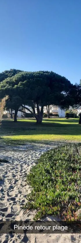 Location appartement les pieds dans l'eau, Résidence Aqua Linda à Poggio-Mezzana，位于波吉奥· 梅扎纳的酒店