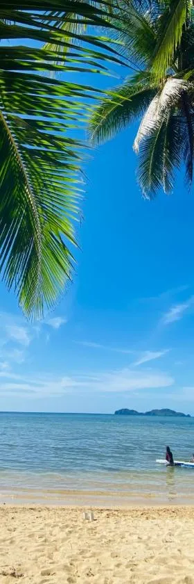 Ocamocam Beach Nature Resort，位于New Busuanga的酒店