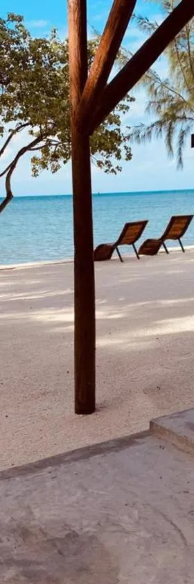 Bon Vivant Front de Mer - Ile Rodrigues，位于Rodrigues Island的酒店