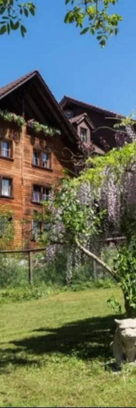 LilaLila Lodge，位于Magdenau的酒店