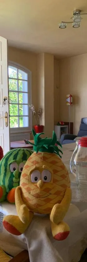 La maison d'Abelleira，位于Puenteareas的酒店