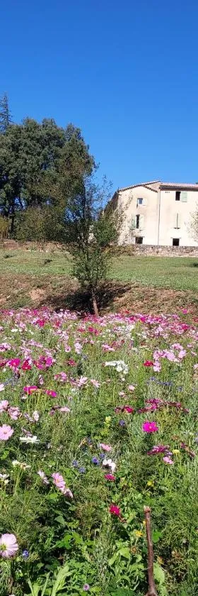 Les Jardins de Falguière，位于圣让迪加尔的酒店
