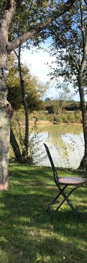 The Lake Room Cottage with Private Fishing Lake，位于Bommiers的酒店