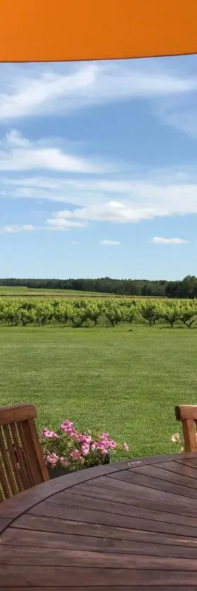 Le Chainous，位于Pouillé的酒店