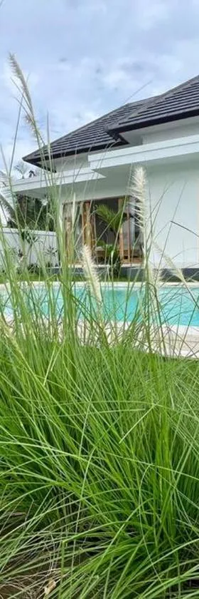 Padi-Padi Pool Villas，位于Trunyan的酒店