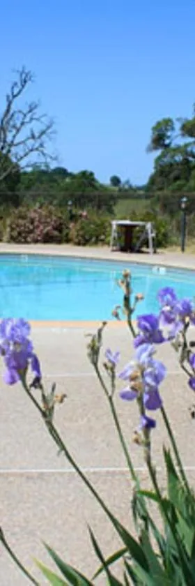 Shenandoah Inn, MAJOR CREDIT CARDS REQUIRED for check in，位于普里茅斯的酒店