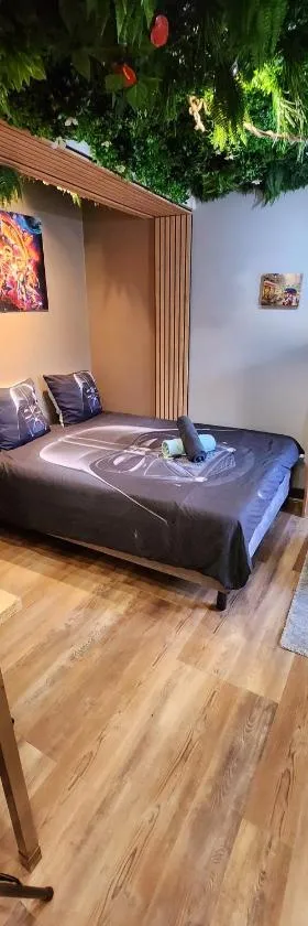 Appt Avengers à 10 minutes de Disneyland，位于Condé-Sainte-Libiaire的酒店