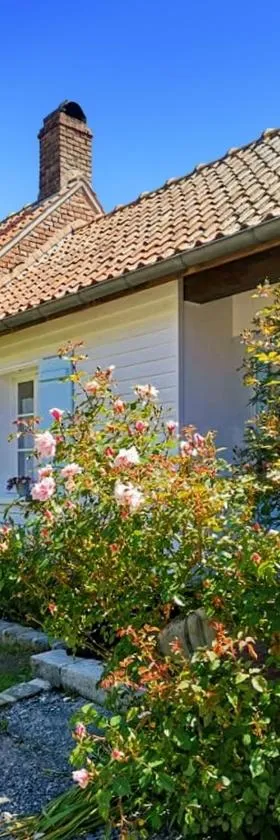 Le Clos de la Rose gite bien être，位于Wirwignes的酒店