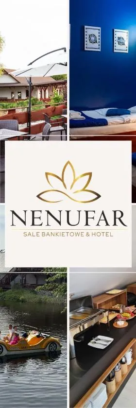 Hotel Nenufar，位于科希强的酒店