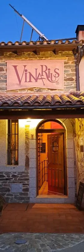 Vinarius, Posada Rural，位于Castellanos de Villiquera的酒店